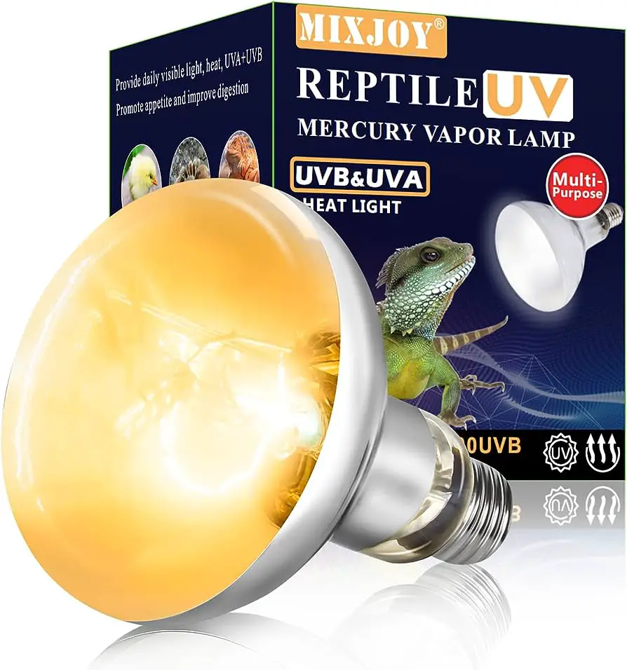Do Full Spectrum Lights Have UVB? Find Out Here! (2024)