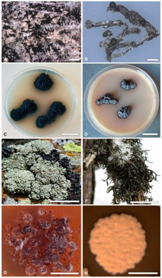 Spectrum Login Error Idid-3210