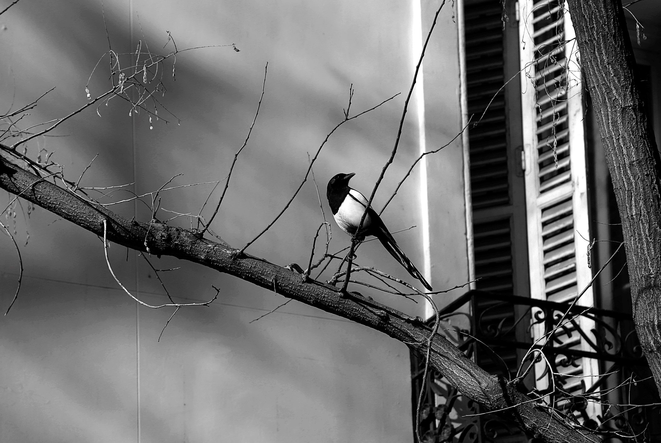 What Is Spectrum Code Stba-3802