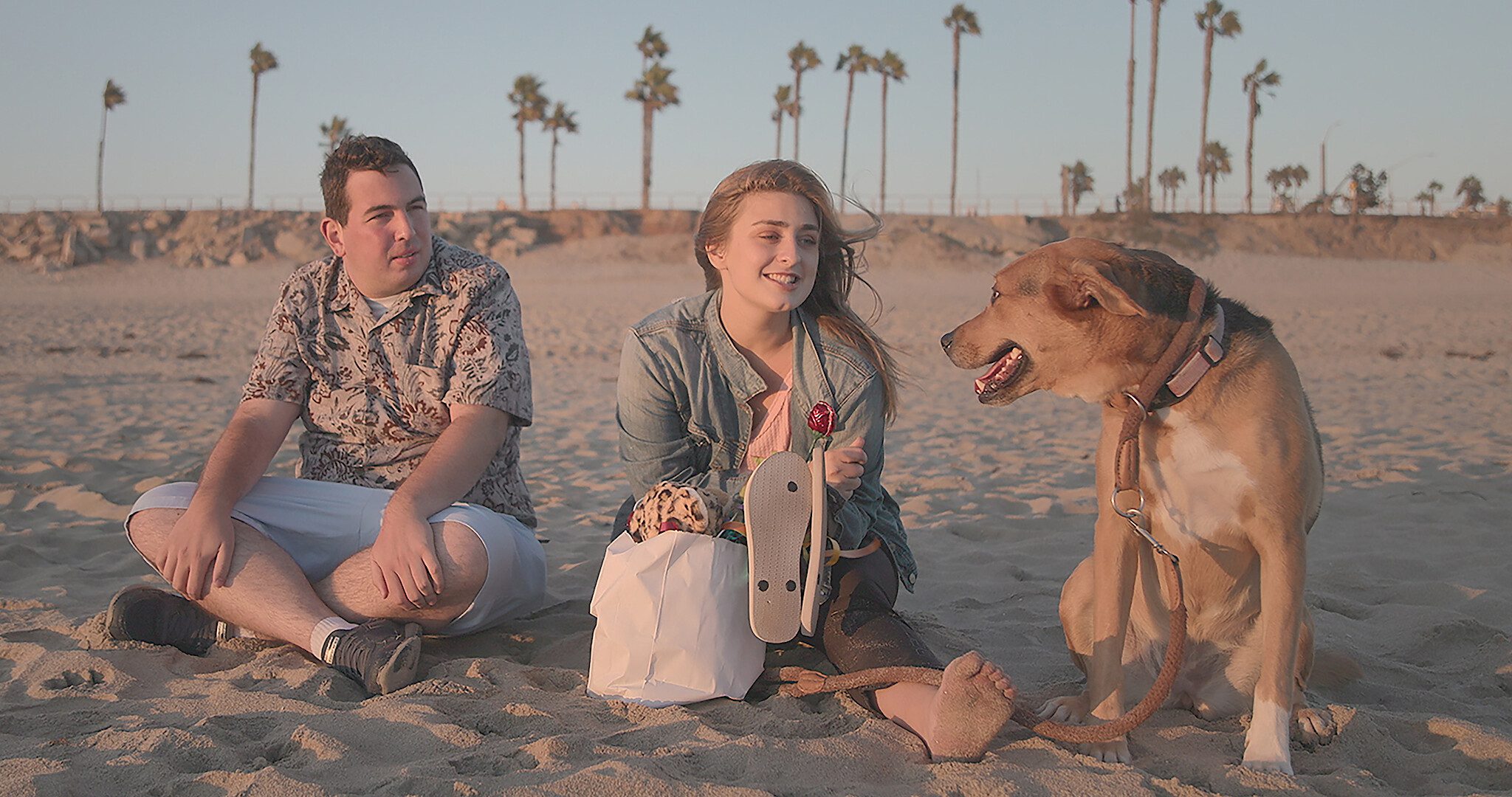 Why Is Spectrum Always Down