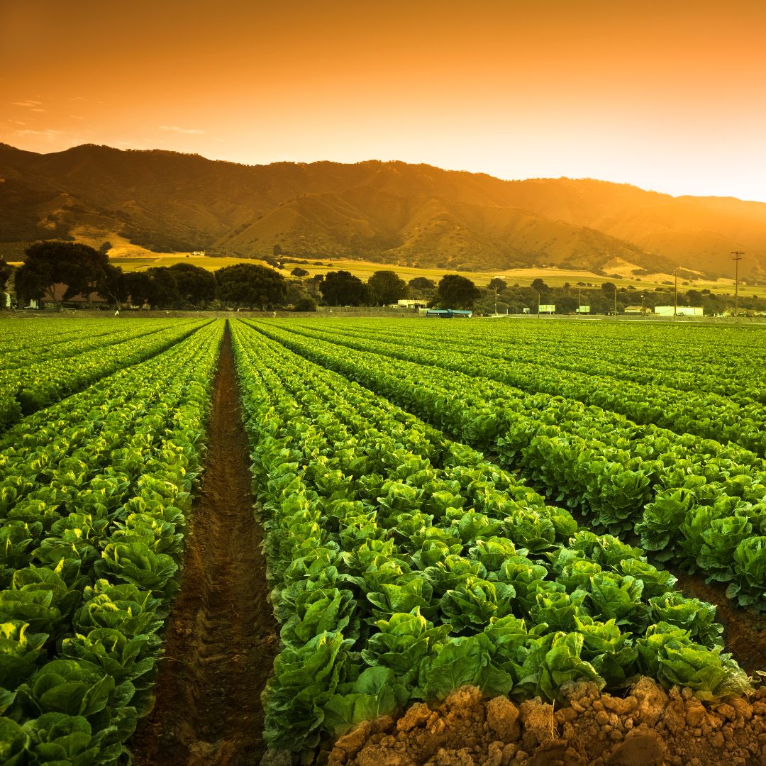 Can You Unlock a Spectrum Phone